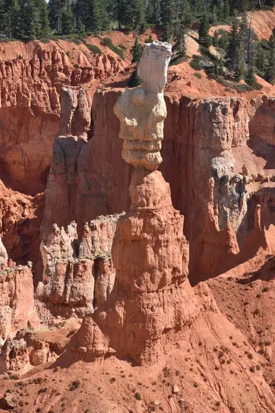 View Ponderosa Point Bryce Canyon National Park Utah — Stock Photo, Image