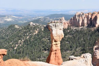 Utah Bryce Canyon Milli Parkı, Ponderosa'yı noktadan görünüm