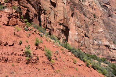 Zion National Park Utah ABD