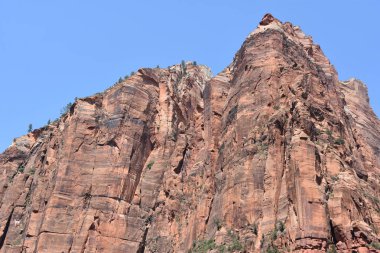 Zümrüt havuzu zammı Utah Zion National Park, alt
