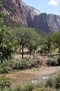 Zümrüt havuzu zammı Utah Zion National Park, alt