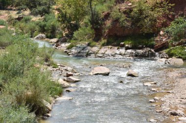 Zümrüt havuzu zammı Utah Zion National Park, alt