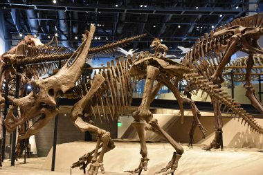 Salt Lake City, Ut - Ekim 3: Doğal Tarih Müzesi Utah Salt Lake City, Utah, 3 Eylül 2017 üzerinde görüldüğü gibi.