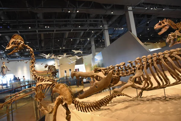 Salt Lake City, Ut - Ekim 3: Doğal Tarih Müzesi Utah Salt Lake City, Utah, 3 Eylül 2017 üzerinde görüldüğü gibi.