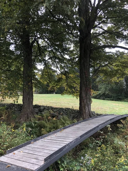 New Canaan Oct Grounds Glass House Philip Johnson New Canaan — Stockfoto