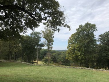 NEW CANAAN, CT - 2 Ekim 2019 'da New Canaan, Connecticut' ta Philip Johnson tarafından The Glass House 'un temelleri.