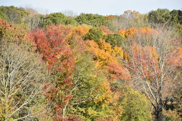 Les Couleurs Automne Connecticut — Photo