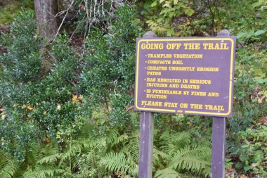 KENT, CT - Kent Falls Eyalet Parkı, 13 Ekim 2019 'da görüldüğü gibi. Şelale 400 metreden az bir mesafede düşüyor..