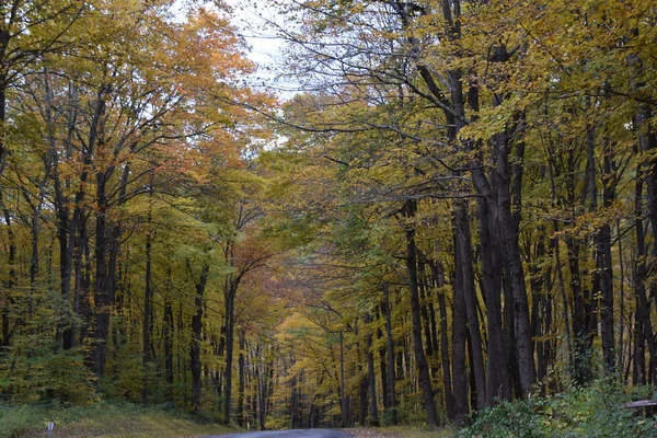 Cores Outono Kent Connecticut — Fotografia de Stock