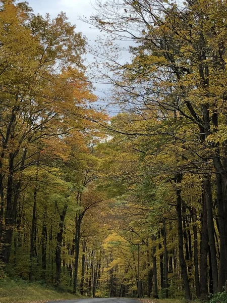 Осенние Цвета Кенте Коннектикут — стоковое фото