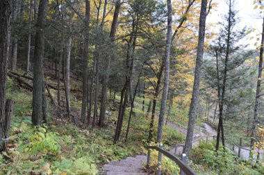 KENT, CT - Kent Falls Eyalet Parkı, 13 Ekim 2019 'da görüldüğü gibi. Şelale 400 metreden az bir mesafede düşüyor..