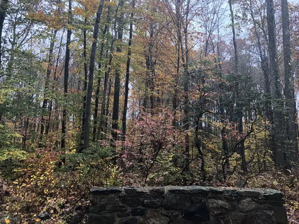 New Canaan Connecticut Sonbahar Renkleri — Stok fotoğraf