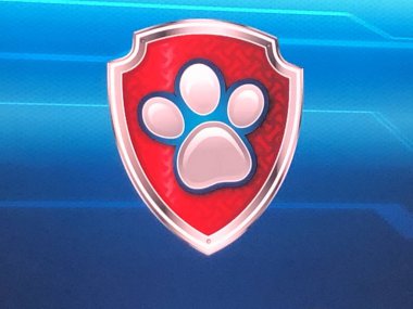 10 Kasım 2019 'da Stamford, Connecticut' taki Palace Theater 'da Paw Patrol Live Show' da görüldü..