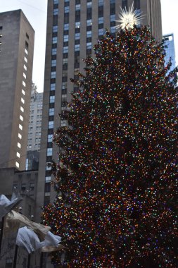 New York 'taki Rockefeller Plaza' da 25 Aralık 2019 'da görülen ünlü Noel Ağacı..