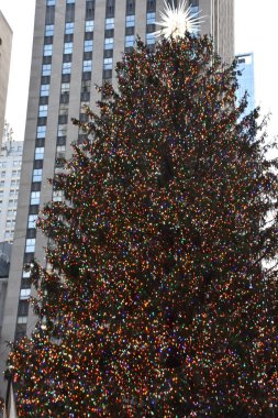 New York 'taki Rockefeller Plaza' da 25 Aralık 2019 'da görülen ünlü Noel Ağacı..