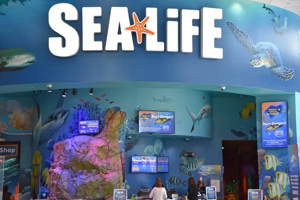 ORLANDO, FL NOV 24: 24 Kasım 2019 'da Orlando, Florida' daki ICON Park 'ta görülen Sea Life Akvaryumu. Çeşitli deniz canlıları içeren aile dostu sergileri var..