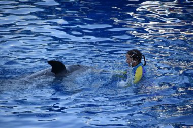 ORLANDO, FL NOV 27: 27 Kasım 2019 'da SeaWorld Orlando, Florida' da görülen Yunus Günleri gösterisi. Bu bir tema ve deniz zooloji parkı. Canlı gösteriler ve gezintiler ve hayvan sergileri de dahil olmak üzere birçok eğlence alanı var..