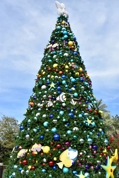 Orlando Nov27 Vánoční Strom Seaworld Orlando Floridě Jak Vidět Listopadu2019 — Stock fotografie