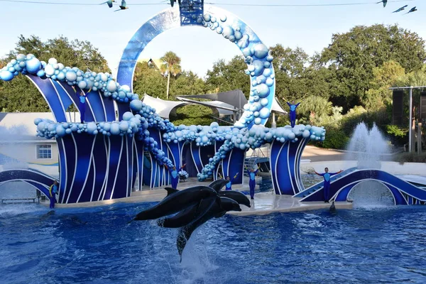 フロリダ州オーランド11月27日 フロリダ州のシーワールドオーランドでイルカの日は 11月の27 2019で見られます 乗り物や動物展示など多くのライブショーやアトラクションがあるテーマパークや海洋動物園です — ストック写真