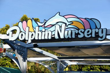 ORLANDO, FL NOV 27: 27 Kasım 2019 'da Florida' daki SeaWorld Orlando 'da görülen yunus yuvası. Bu bir tema ve deniz zooloji parkı. Canlı gösteriler ve gezintiler ve hayvan sergileri de dahil olmak üzere birçok eğlence alanı var..