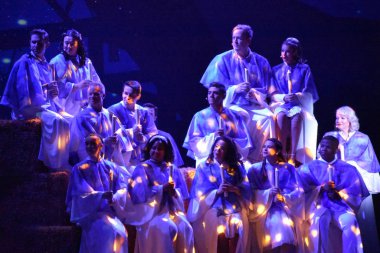 ORLANDO, FL - O Wondrous Nights, 27 Kasım 2019 'da Orlando, Florida yakınlarındaki SeaWorld Orlando' da gösterildi. Canlı gösterileri, eğlenceleri, gezintileri ve hayvan sergileriyle bir tema ve deniz zooloji parkı..