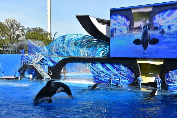フロリダ州オーランド 2019年11月27日に見られるように フロリダ州オーランド近くのフロリダ州のシーワールドオーランドでの1つの世界ショー テーマパークと海洋動物園で ライブショー アトラクション 乗り物 動物展示などがあります — ストック写真
