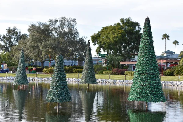 Orlando Nov Sea Trees Seaworld Orlando Florida Orlando Florida Seen — Foto de Stock