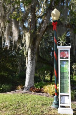 ORLANDO, FL NOV 29: 29 Kasım 2019 'da Orlando, Florida' daki Harry P. Leu Gardens 'da görüldü. Bahçeler, 200 yıllık meşe ve kamelya ormanları tarafından gölgelendirilmiş yaklaşık 50 dönüm arazili toprak ve göl içeriyor..