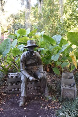 ORLANDO, FL NOV 29: 29 Kasım 2019 'da Orlando, Florida' daki Harry P. Leu Gardens 'da görüldü. Bahçeler, 200 yıllık meşe ve kamelya ormanları tarafından gölgelendirilmiş yaklaşık 50 dönüm arazili toprak ve göl içeriyor..