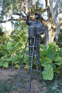 ORLANDO, FL NOV 29: 29 Kasım 2019 'da Orlando, Florida' daki Harry P. Leu Gardens 'da görüldü. Bahçeler, 200 yıllık meşe ve kamelya ormanları tarafından gölgelendirilmiş yaklaşık 50 dönüm arazili toprak ve göl içeriyor..