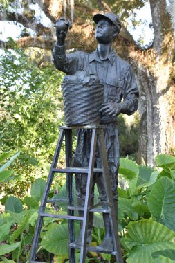 ORLANDO, FL NOV 29: 29 Kasım 2019 'da Orlando, Florida' daki Harry P. Leu Gardens 'da görüldü. Bahçeler, 200 yıllık meşe ve kamelya ormanları tarafından gölgelendirilmiş yaklaşık 50 dönüm arazili toprak ve göl içeriyor..