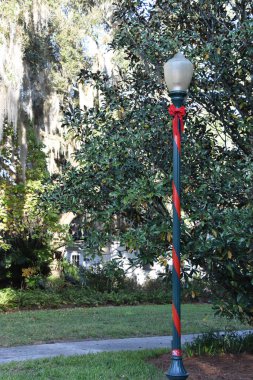 ORLANDO, FL NOV 29: 29 Kasım 2019 'da Orlando, Florida' daki Harry P. Leu Gardens 'da görüldü. Bahçeler, 200 yıllık meşe ve kamelya ormanları tarafından gölgelendirilmiş yaklaşık 50 dönüm arazili toprak ve göl içeriyor..