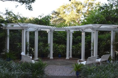 ORLANDO, FL NOV 29: 29 Kasım 2019 'da Orlando, Florida' daki Harry P. Leu Gardens 'da görüldü. Bahçeler, 200 yıllık meşe ve kamelya ormanları tarafından gölgelendirilmiş yaklaşık 50 dönüm arazili toprak ve göl içeriyor..