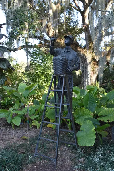 ORLANDO, FL NOV 29: 29 Kasım 2019 'da Orlando, Florida' daki Harry P. Leu Gardens 'da görüldü. Bahçeler, 200 yıllık meşe ve kamelya ormanları tarafından gölgelendirilmiş yaklaşık 50 dönüm arazili toprak ve göl içeriyor..