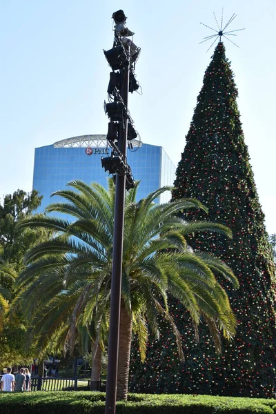 Orlando Nov Weihnachtsbaum Eola Park Orlando Florida Gesehen Nov 2019 — Stockfoto