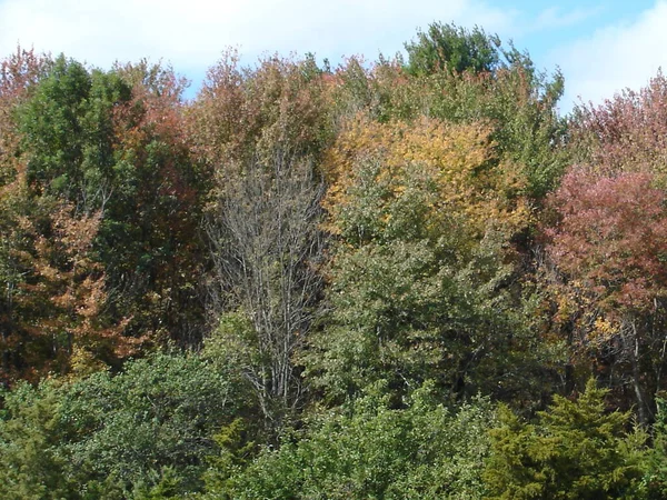 Colores Caída Connecticut Estados Unidos — Foto de Stock