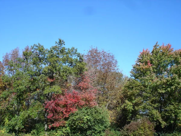 Осенние Цвета Коннектикуте Сша — стоковое фото