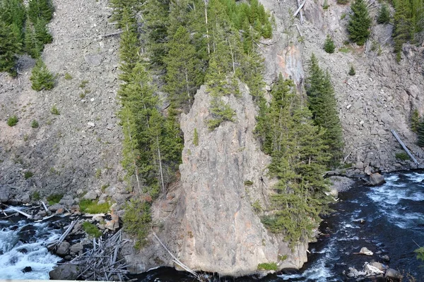 Río de montaña en el parque nacional de Yellowstone — Foto de Stock