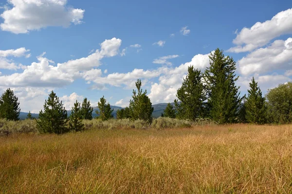 Paysage de Yellowstone, Amérique du Nord — Photo