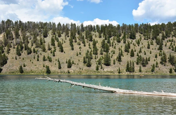 Lac dans le parc national Yellowstone — Photo