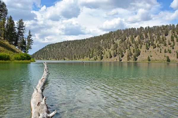 Lac dans le parc national Yellowstone — Photo