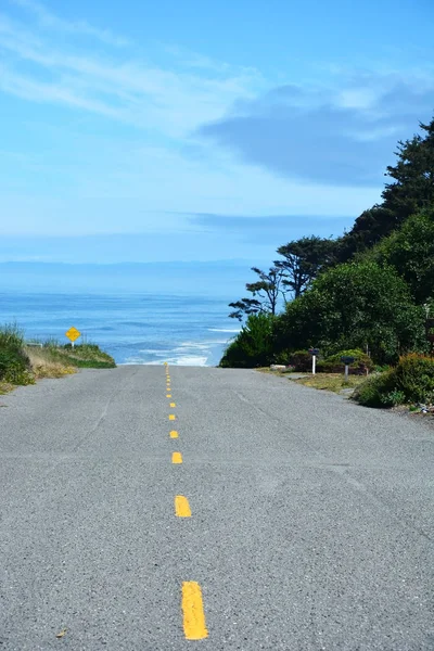 Дорога и Тихий океан — стоковое фото