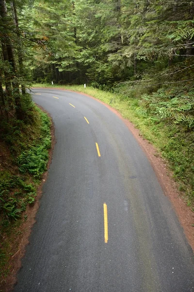 Vrid på vägen. Redwood-skogen, Ca, Usa — Stockfoto