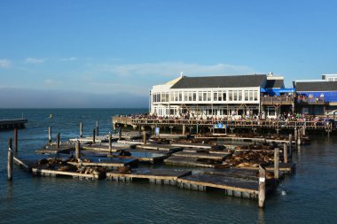 Pier 39, San Francisco Körfezi, 17 Ağustos 2013 tarihinde