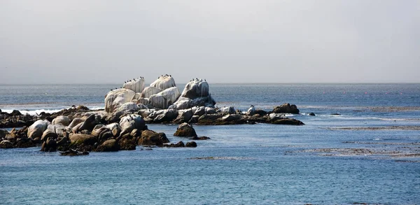 Stones at the Pacific ocean — Stock Photo, Image