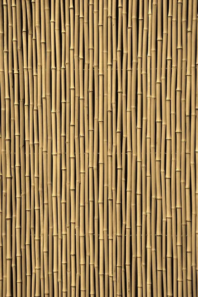 Бамбуковый забор как фон — стоковое фото