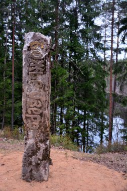 Yaşlı totem derin Orman Gölü