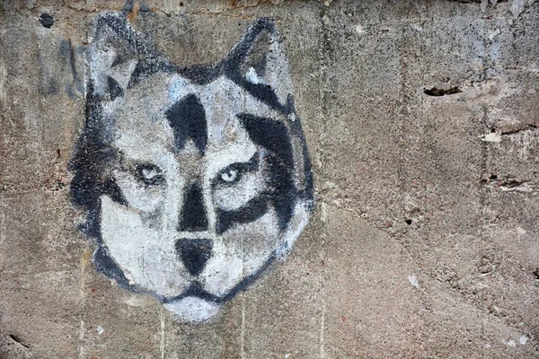 Wolf head on the wall