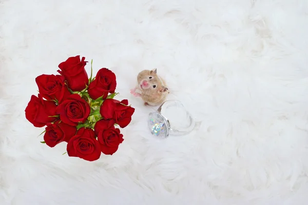 Hamster with Roses and Ring — Stock Photo, Image