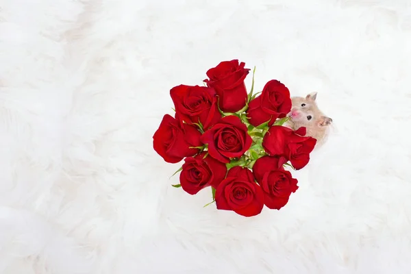 Dur ve koku güller kavramı